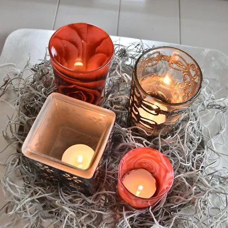 In Near Bergerbos Forest *