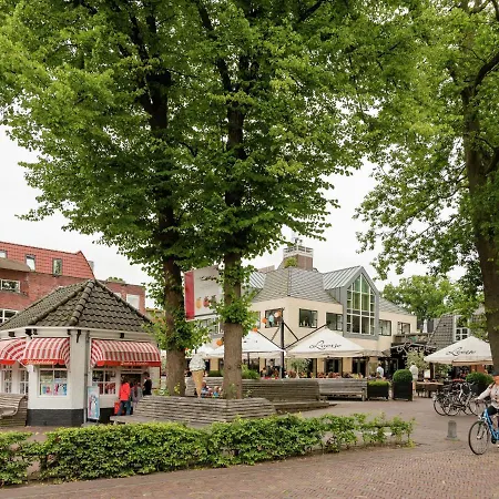 In Near Bergerbos Forest * 卑尔根