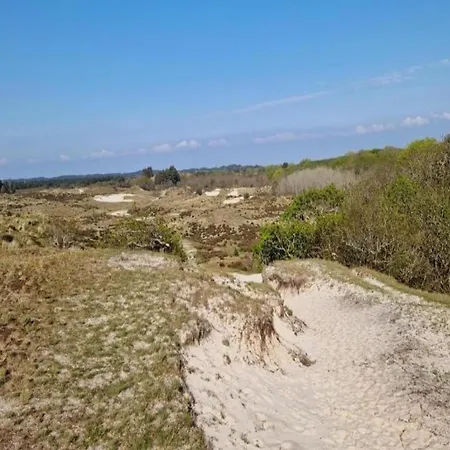 In Near Bergerbos Forest 度假居