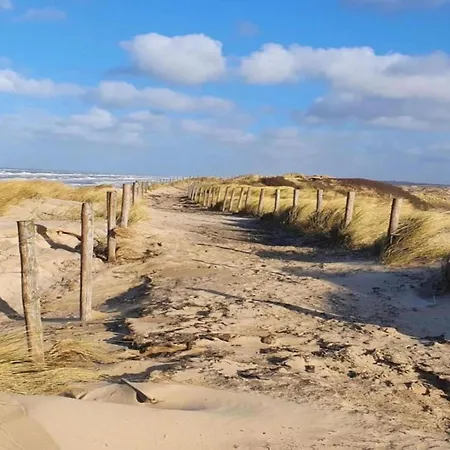 In Near Bergerbos Forest * 卑尔根