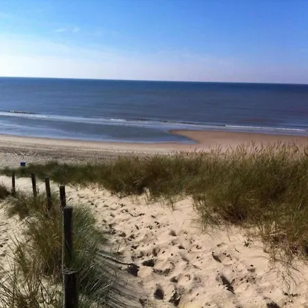 In Near Bergerbos Forest 卑尔根