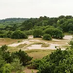 In Near Bergerbos Forest *