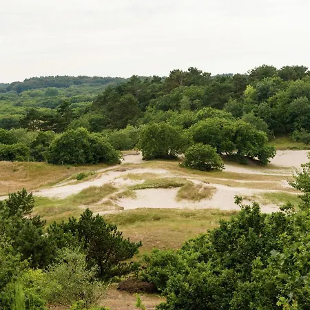 In Near Bergerbos Forest *