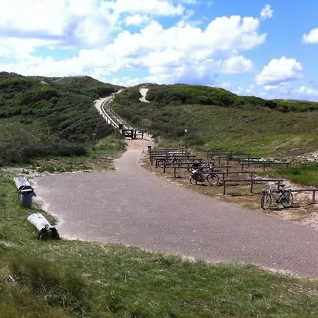 In Near Bergerbos Forest *