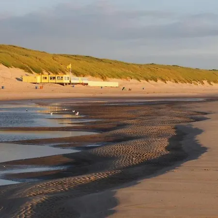 In Near Bergerbos Forest * Bergen