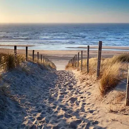 In Near Bergerbos Forest *