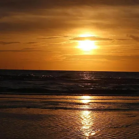 In Near Bergerbos Forest *